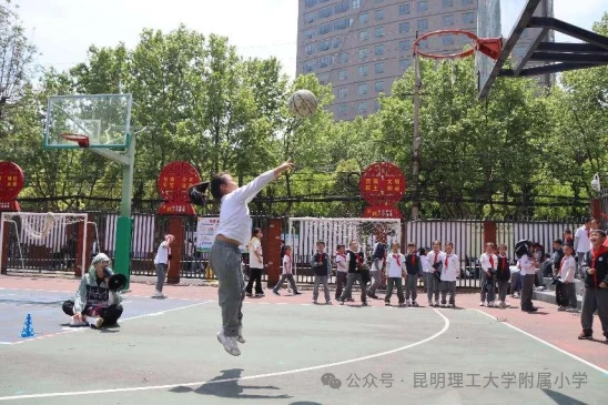 篮球小学生基本功训练教学反思简短_1